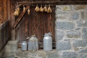 Can Corn Cause Gas? Why It Happens and How to Ease It