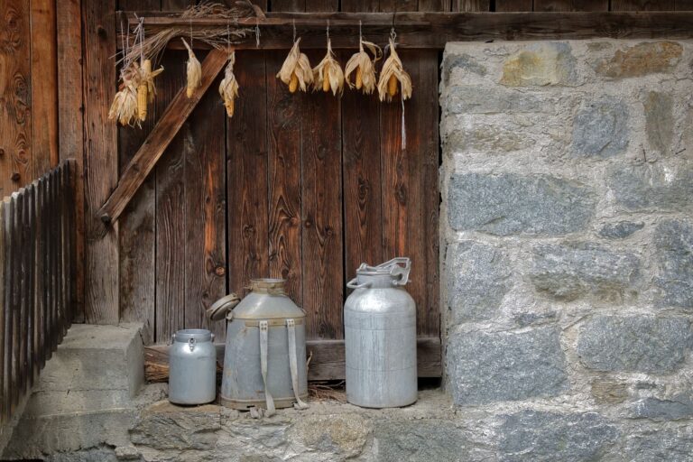 Can Corn Cause Gas? Why It Happens and How to Ease It
