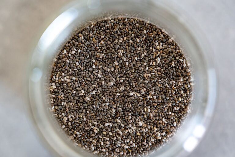 Can Rabbits Eat Chia Seeds? Safety, Risks, and Limits