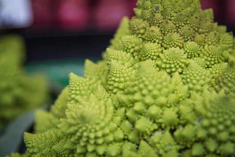 Can Vegans Get Too Much Fiber? Signs, Targets, and Relief
