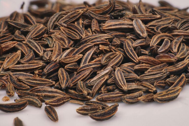 Caraway Seed Tea: Benefits, Side Effects, Recipe