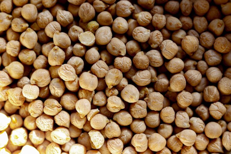 Cholesterol High Vegan: Why LDL Can Rise and What Helps