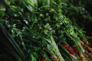 Cilantro vs Parsley: Taste, Looks, Nutrition, and Best Uses