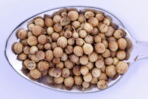 Coriander Seed Substitutes: 7 Smart Swaps for Every Recipe