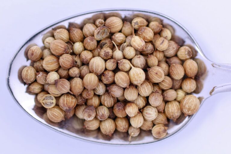 Coriander Seed Substitutes: 7 Smart Swaps for Every Recipe