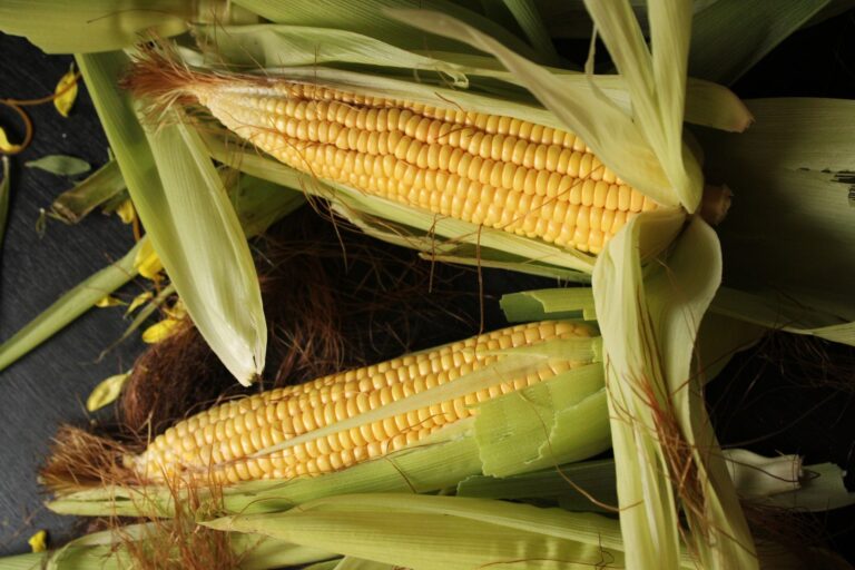 Corn Silk Tea: Benefits, Side Effects, Recipe