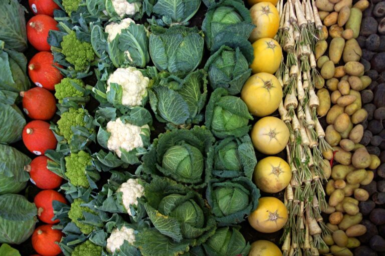 Difference between Organic and Natural Food: Label Facts