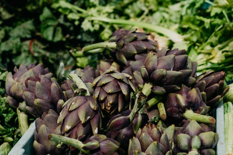 Do Artichokes Cause Gas? A Practical Digestive Check