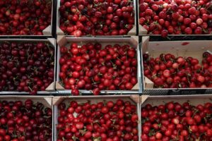 Do Cherries Give You Gas? Causes, Portions, and IBS