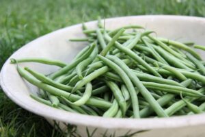 Do Green Beans Cause Gas? Bloating, IBS, and Better Portions