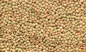 Do Lentils Cause Gas? Smart Ways to Ease Bloating