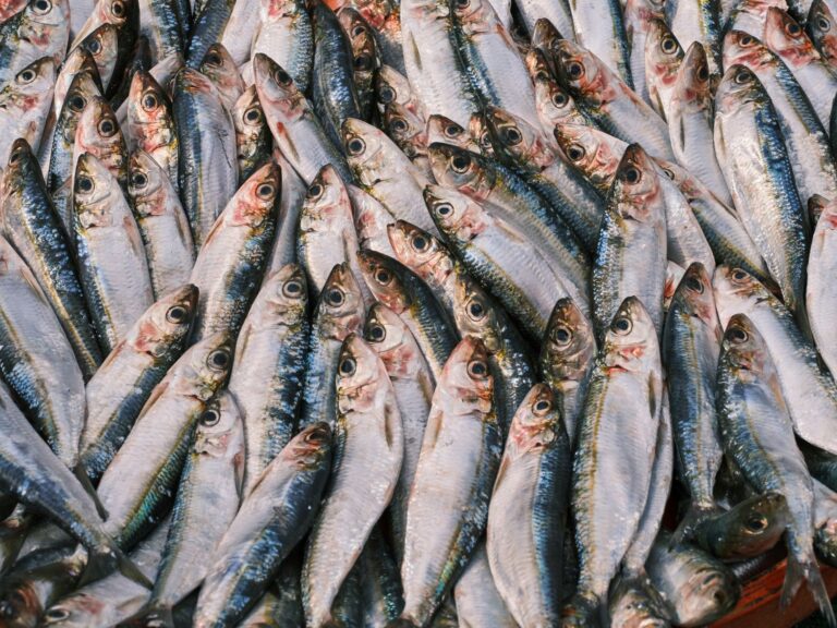 Does Eating Fish Really Prevent Heart Disease? Separating