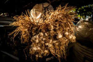 Does Garlic Go Bad? Signs, Shelf Life, and Storage Tips