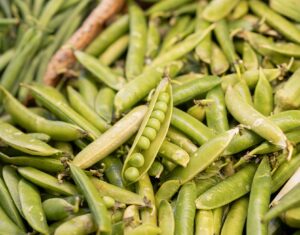 Does Pea Protein Cause Inflammation? Safety, Symptoms, Facts
