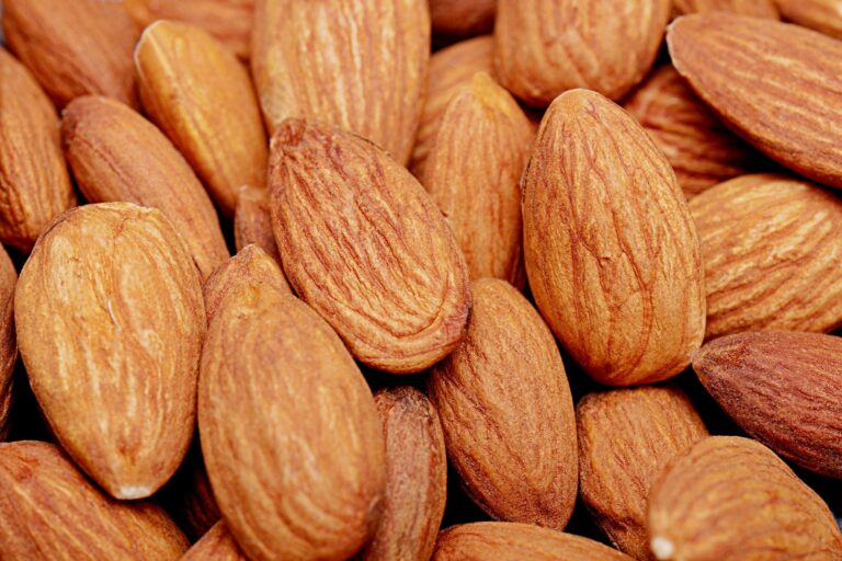 Dogs Eat Almonds: Safety, Risks, and Next Steps