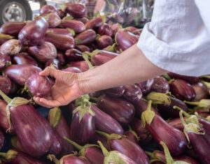 Eggplant Types: A Visual to 12 Varieties and Best Uses