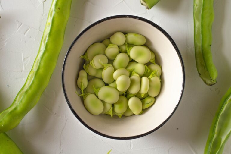 Fava Beans vs Edamame: Nutrition, Taste, and Safety