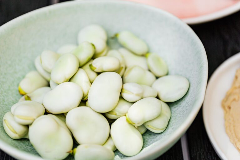 Fava Beans vs Lima Beans: Key Differences for Cooks