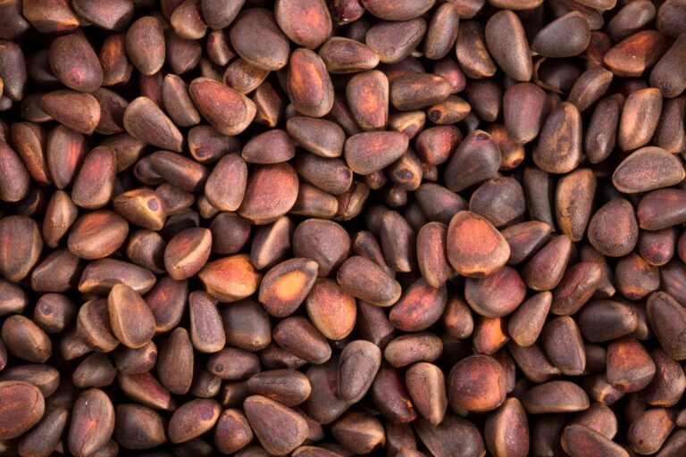 Foods Phosphorus: Sources, Daily Needs, and Smart Choices