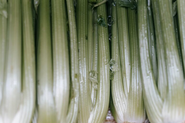 Freeze Celery: Texture Changes, Methods, and Best Uses