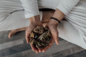 Herbs Energy: 9 Science-Backed Picks for Lasting Stamina