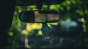 Homemade Air Freshener Safe for Cats: 5 Vet-Informed Recipes