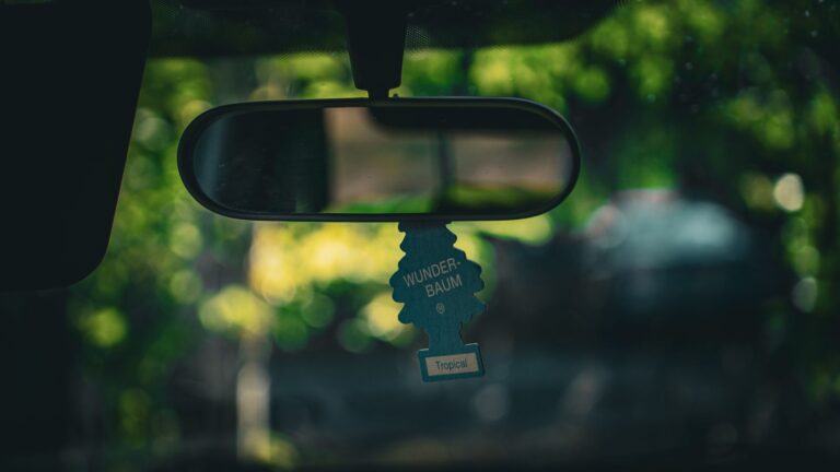 Homemade Air Freshener Safe for Cats: 5 Vet-Informed Recipes