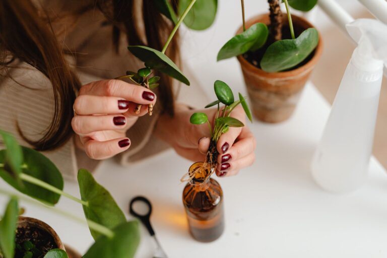 Homemade Rooting Hormone for Plants: 5 Natural Recipes that