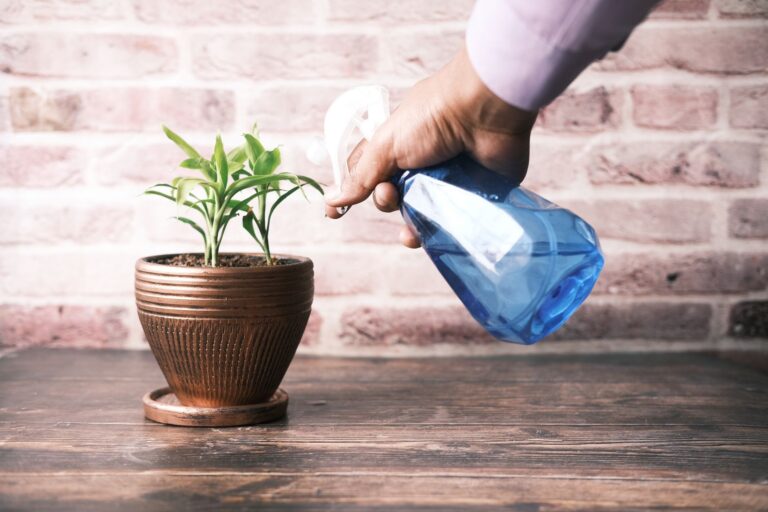 Homemade Spray to Keep Cats from Eating Plants: Safe DIY