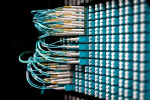 How Long Does Fiber Stay in Your System? A Complete Breakdown