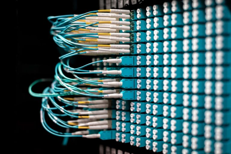 How Long Does Fiber Stay in Your System? A Complete Breakdown