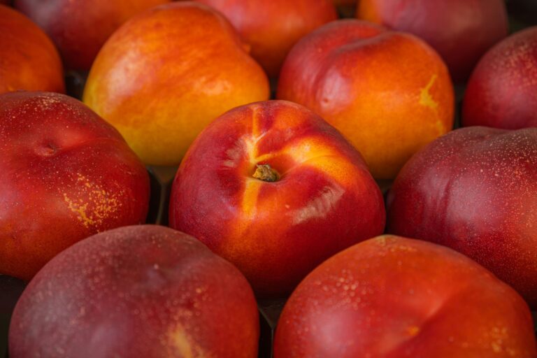 How Many Calories Are in A Small Nectarine? Exact Numbers, Full