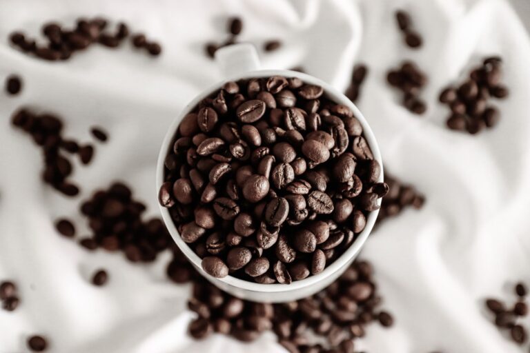 How Many Calories Are in One Cup of Beans? A Complete