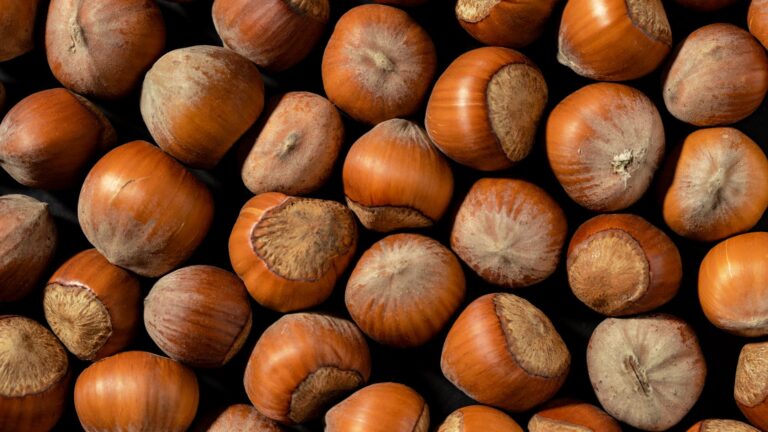 How Many Nuts per Day Is Healthy? Serving Sizes, Benefits