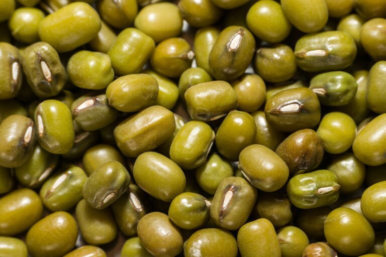 How to Cook Horse Gram? Soft Texture Every Time