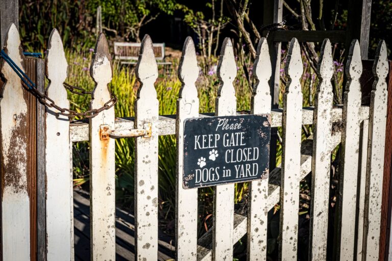 How to Keep Neighbors' Dog out of My Yard? Safe Deterrents