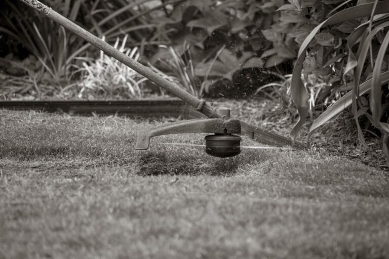How to Tear up A Lawn and Reseed? A Complete DIY Walkthrough