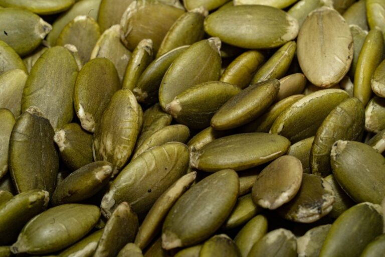 Iron in Seeds: 7 Top Sources and Absorption Tips