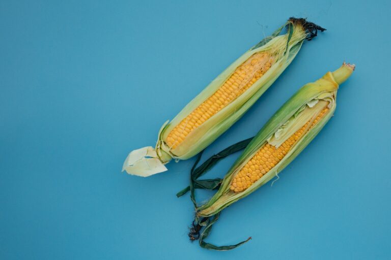 Is Corn A Vegetable? A Clear Answer from Botany, Cooking
