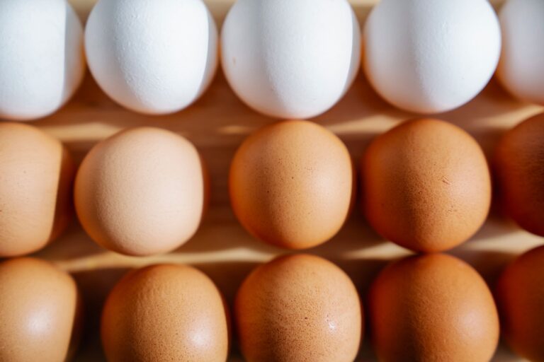 Is Just Egg Healthy? Nutrition, Ingredients, and What