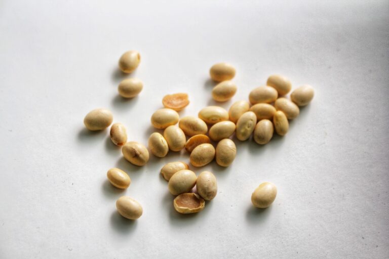 Is Lecithin Vegan? Sources, Labels, and What to Buy