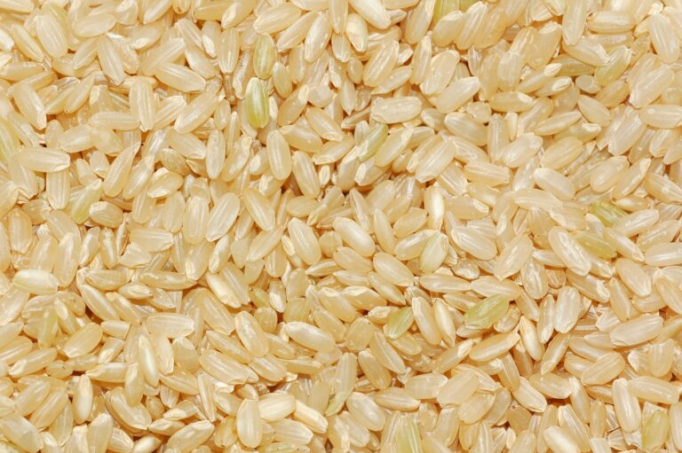 Is Rice a Whole Grain? A Clear Breakdown for Shoppers