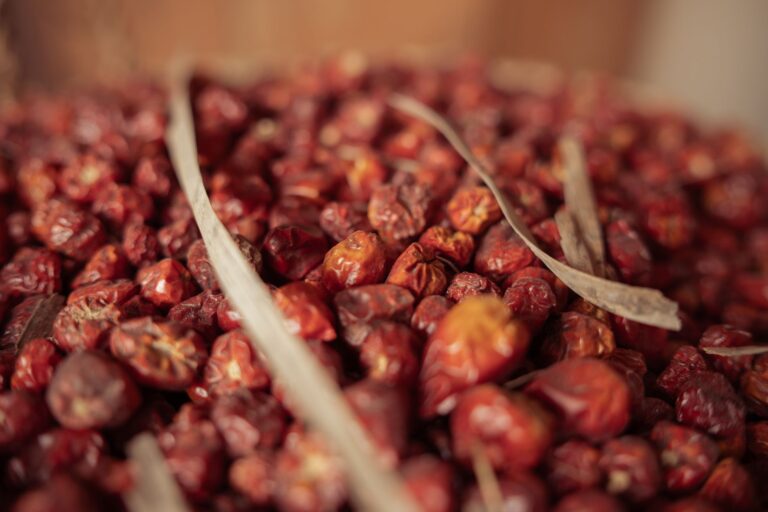 Jujube Tea: Benefits, Side Effects, Dosage, Recipe