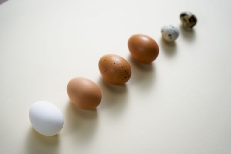 Just Egg vs Egg: Nutrition, Cooking, and Value Compared