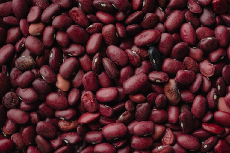 Kidney Bean Poisoning: The Toxin, the Symptoms, and Safe