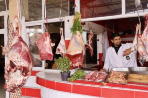 Lab Grown Meat Companies to Invest In: 11 Public and Private