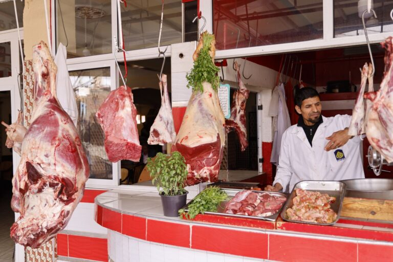 Lab Grown Meat Companies to Invest In: 11 Public and Private