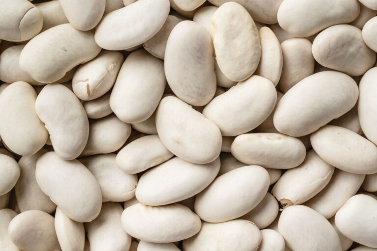 Lima Beans vs Edamame: Nutrition, Taste, and Best Uses