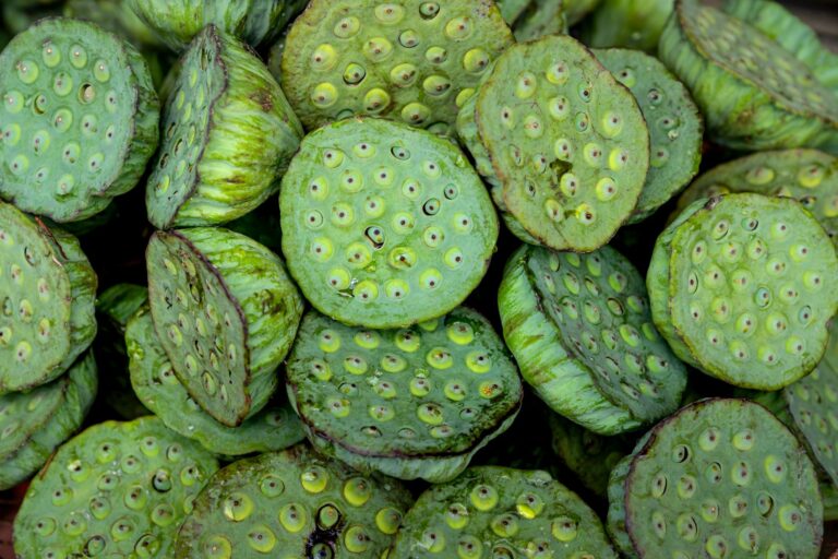 Lotus Seed: Nutrition, Benefits, and How to Grow One
