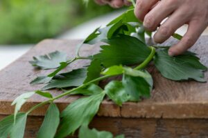 Lovage: The Forgotten Herb that Belongs in Every Kitchen Garden